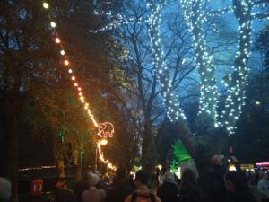 The lights wrapped around a tree