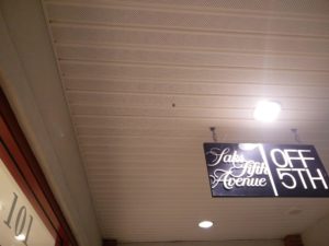 A spider on the ceiling near a sign