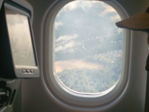 Looking out of the plane window on some fields