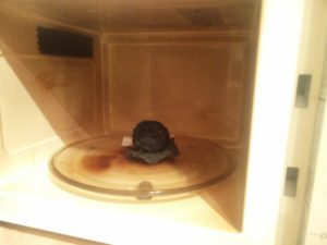 The inside of the microwave, showing a blackened potato and microwave insides